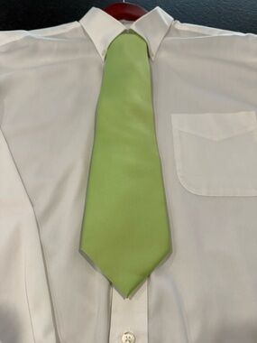lorenzo Light Green Solid Polyester Neck Tie.